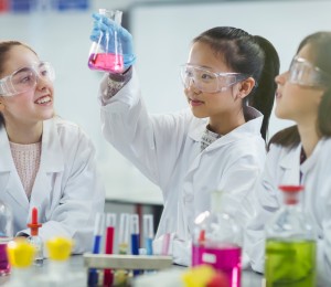 신나는 과학 실험 캠프, 호기심 가득한 탐구 시간 이미지